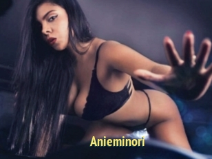 Anieminori