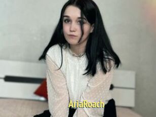 AriaRoach