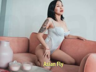 Asian_Fly