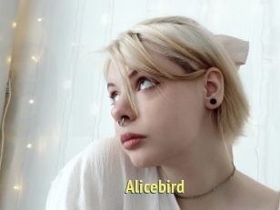 Alicebird