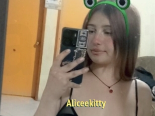 Aliceekitty
