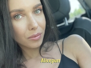 Alicepurr