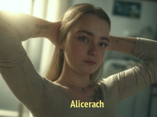 Alicerach