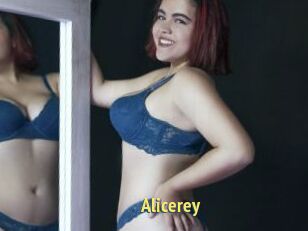 Alicerey