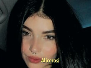 Alicerosi