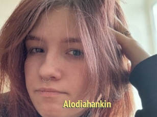 Alodiahankin