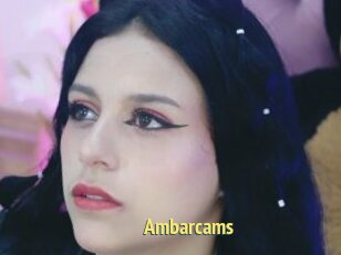 Ambarcams