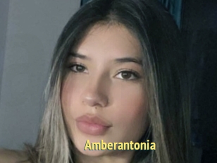 Amberantonia