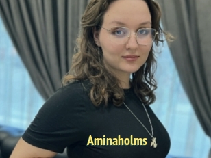Aminaholms