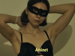 Aminet