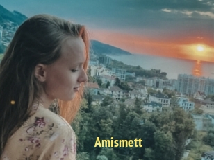 Amismett