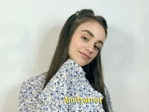 Amityarnet