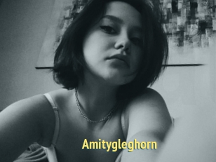 Amitygleghorn