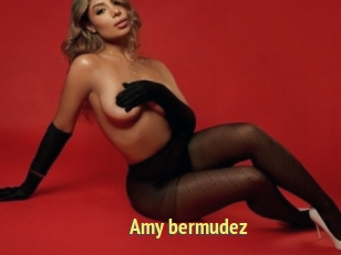 Amy_bermudez
