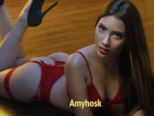 Amyhosk