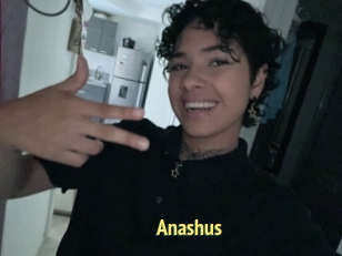 Anashus