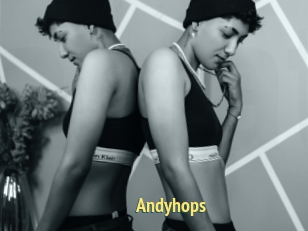 Andyhops