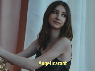 Angelicacant