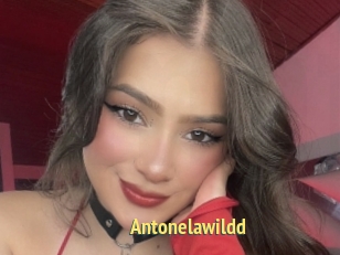 Antonelawildd