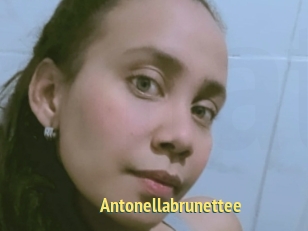Antonellabrunettee