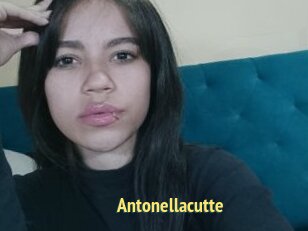 Antonellacutte