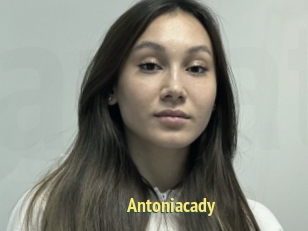 Antoniacady