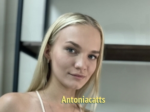 Antoniacatts