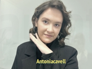 Antoniacavell
