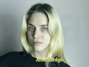 Antoniaedge