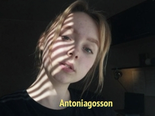 Antoniagosson