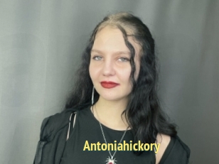 Antoniahickory