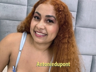 Antoniedupont