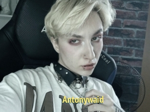 Antonywaid