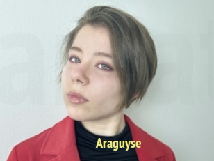 Araguyse