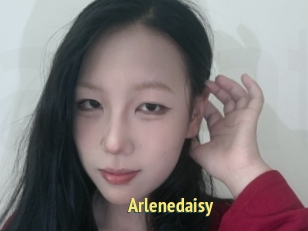 Arlenedaisy