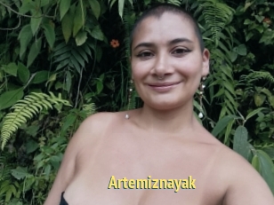 Artemiznayak