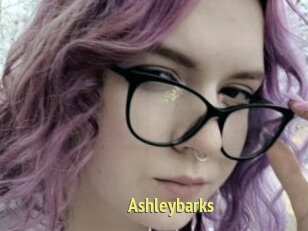 Ashleybarks