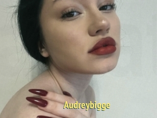 Audreybigge