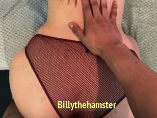 Billythehamster