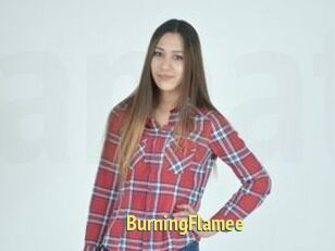 BurningFlamee