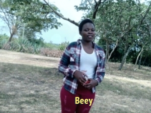 Beey