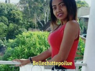 Bellechattepoilue