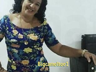 Bigcameltoe1