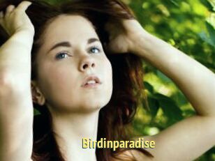 Birdinparadise