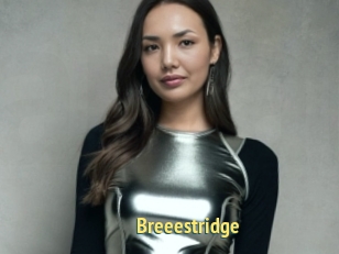 Breeestridge