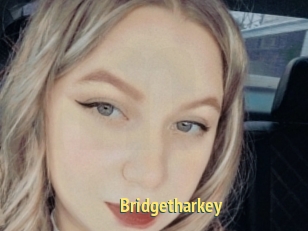 Bridgetharkey