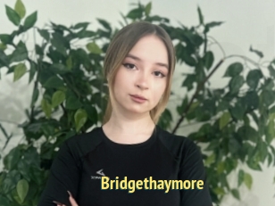 Bridgethaymore