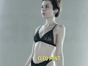 CLEO_MINT