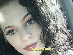 Candice_Cane