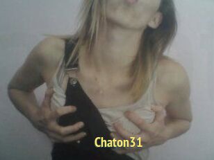Chaton31